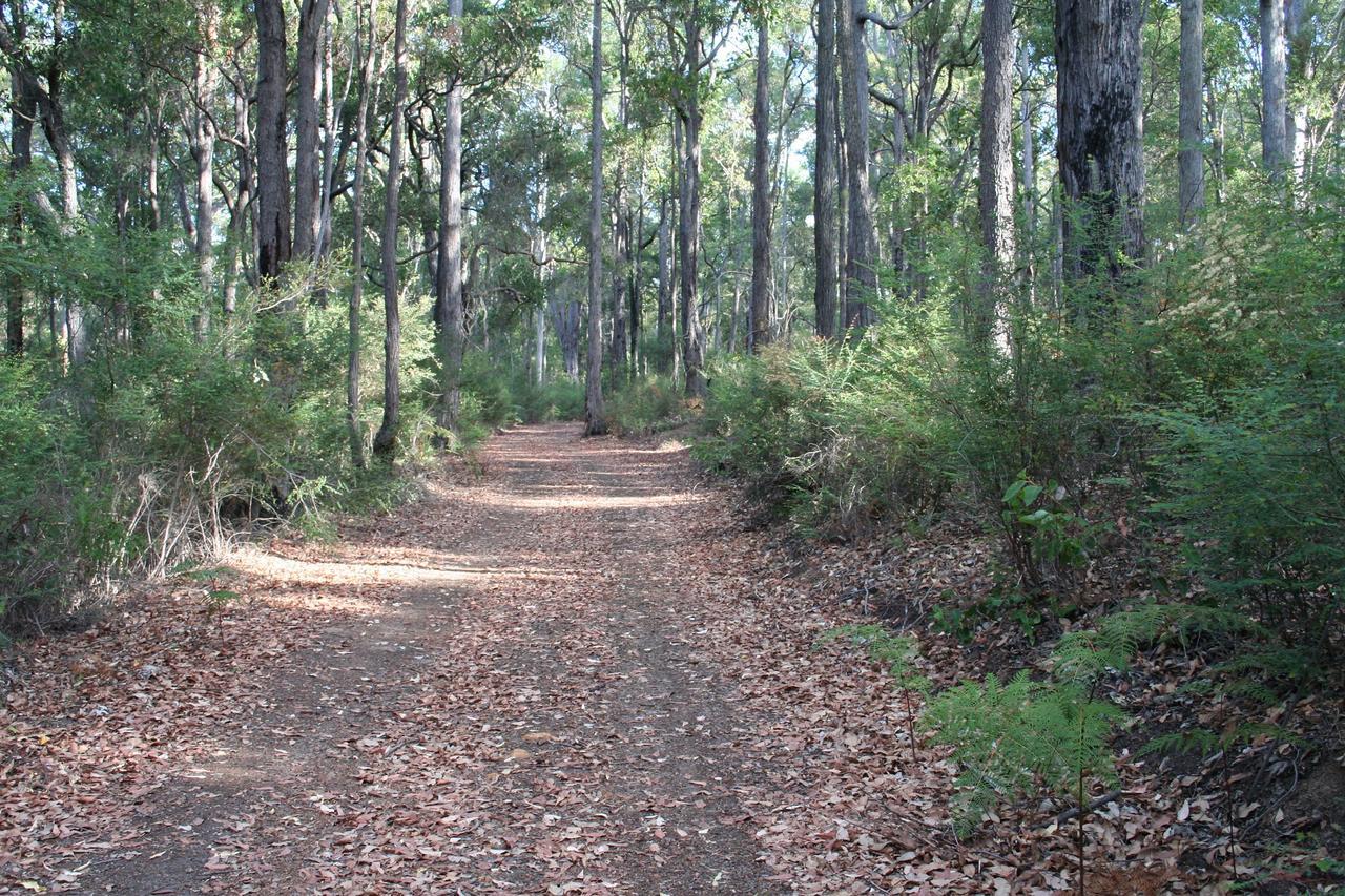 Wellington Forest Cottages Luaran gambar
