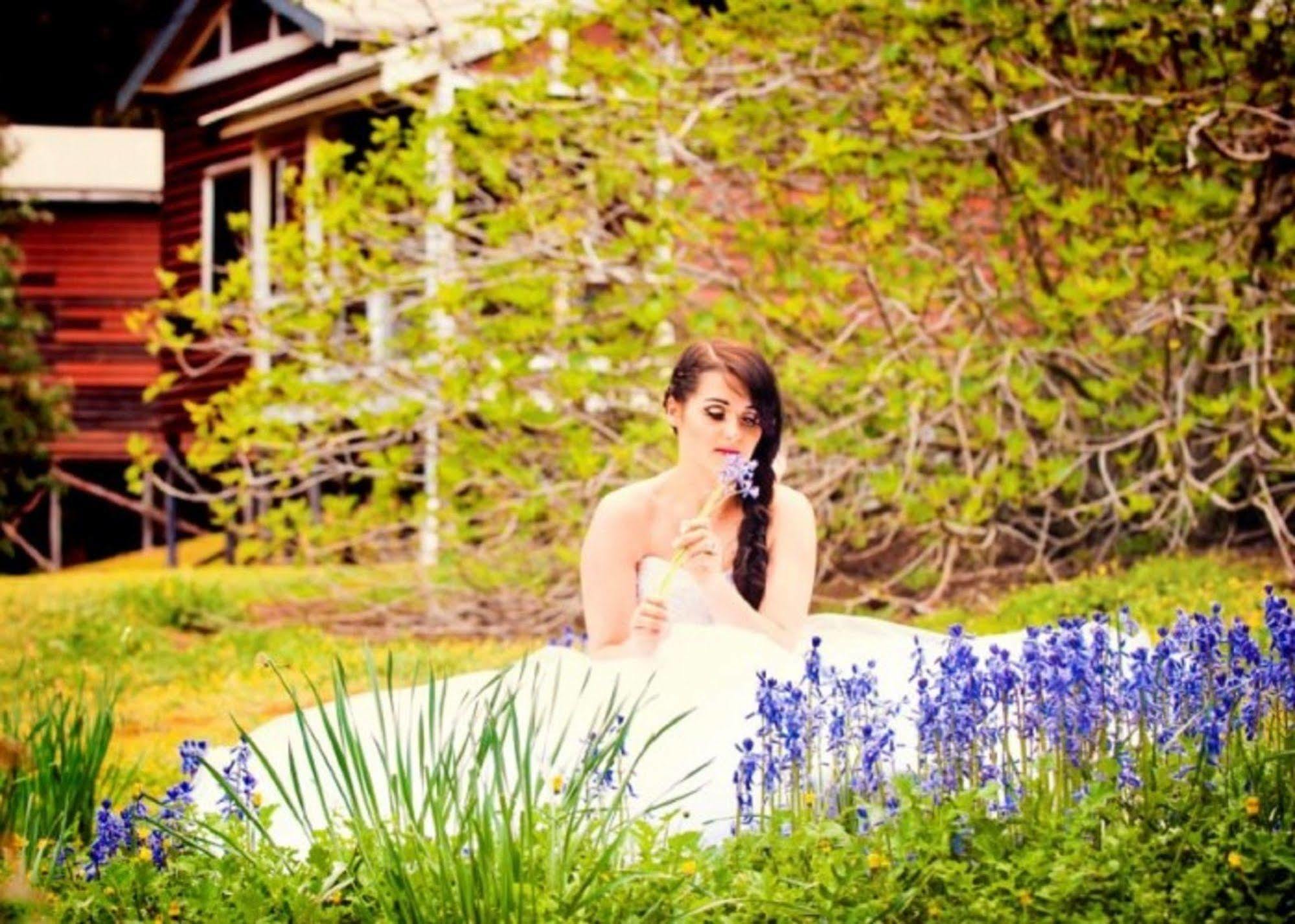 Wellington Forest Cottages Luaran gambar